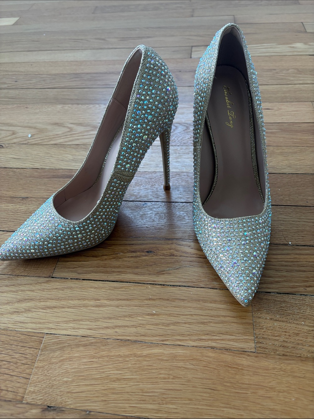 Elizabeth Tang Iridescent Crystal Pointed-Toe Stiletto Pumps